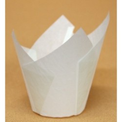 Бумажна форма Тюльпан