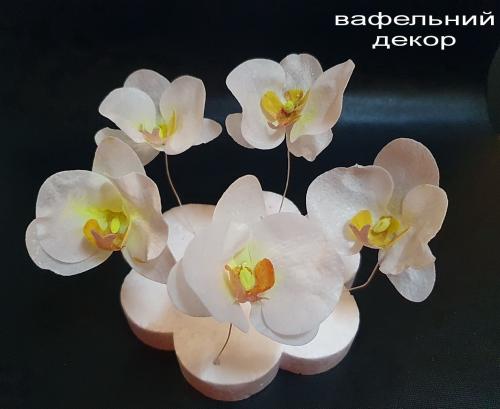 Вафельні  Орхідеї для декору 5 шт білі